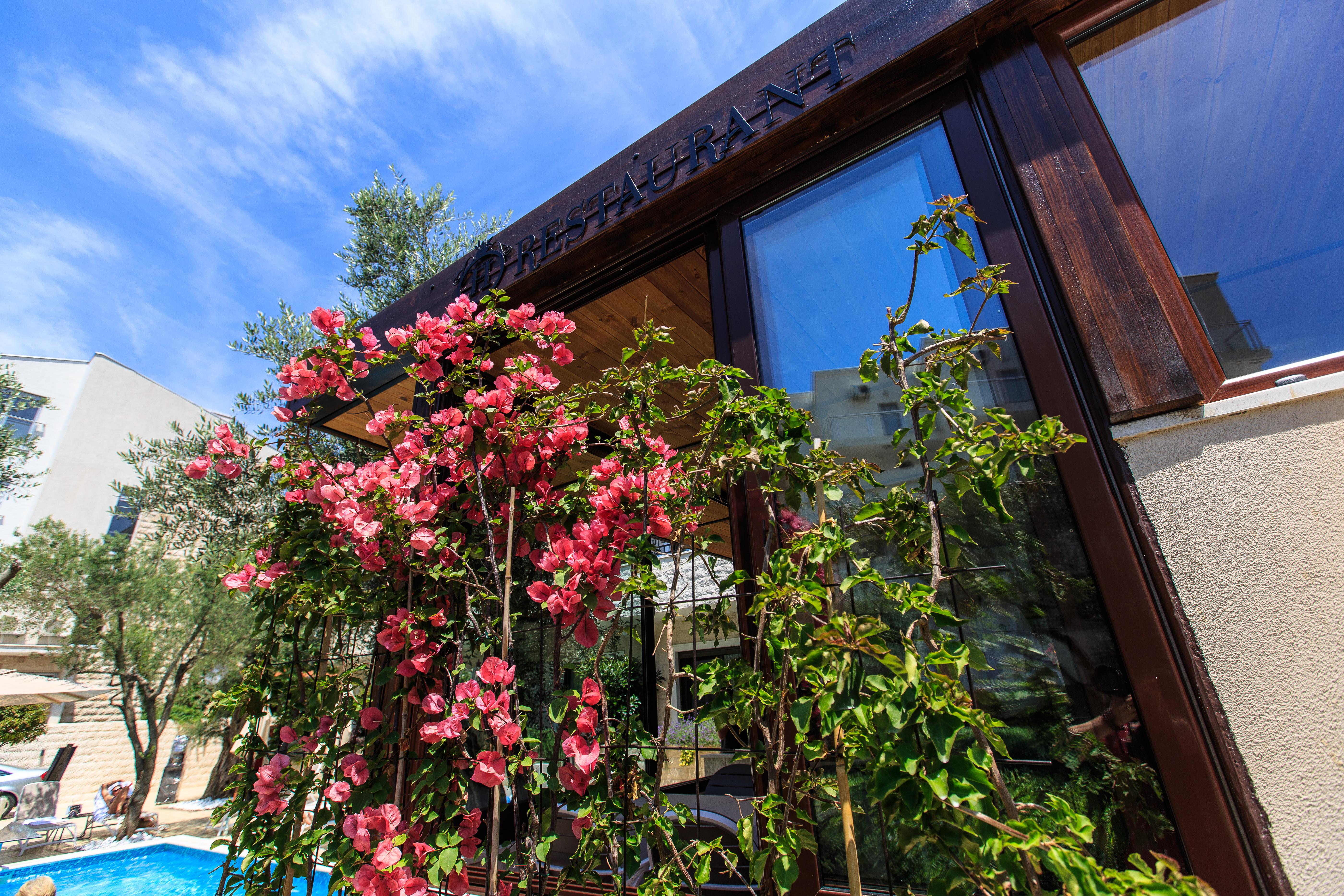 Hotel Harmony By Aycon Petrovac Exterior photo